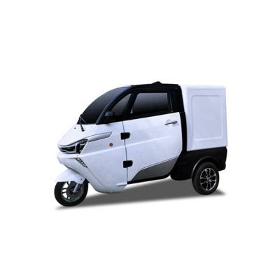 China High Quality Thrown Fabric Distribution Logistics Small Electric Adult Vehicle for sale