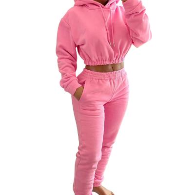 China Anti-Shrinkage Women Plus Cashmere Sports And Leisure Suit Hoodie + Two Piece Jogging Pants Suit Women Jogging Suit for sale