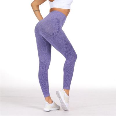 China No Brand Sexy Seamless Sports Tight Antibacterial High Quality Private Label Legging for sale