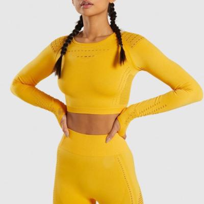 China Fashion Antibacterial Pure Color Women Seamless Sports Long Sleeve Yoga Wear Yoga Shirt Tank Top for sale