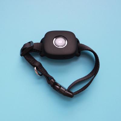 China Automotive Auto GPS Tracker Pounds WIFI IPX7 Waterproof Dog Tracking 4G Collar for sale