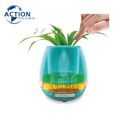 China Stem education music flower pot the other home decor smart sound flower pot with led night light lamp by touching plant for sale