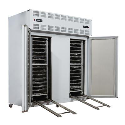 China Single-temperature fast commercial freezer iqf machine freezers -80c Blown Freezer for sale