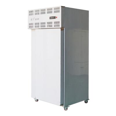 China Hotels Cabinet Freezer Blast IQF Blast Freezing Equipment Cryogenic Range Minus 45 Centigrade for sale