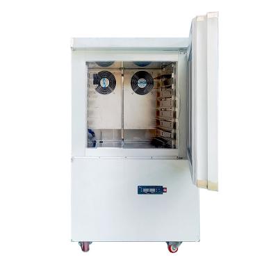 China Hotels -80 degree deep freezing blast freezer equipment freezer for food production in factory or restaurant for sale