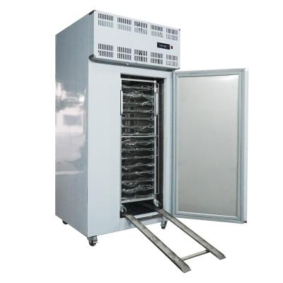 China Frozen Food Cabinet Freezer Blast Freezing Equipment IQF Blast Range Minus -45 Centigrade Cryogenic Freezer Machine / Quick for sale