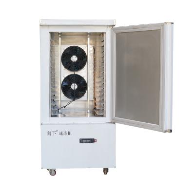 China Commercial Affordable Frozen Food Sea Cucumber Refrigeration Equipment for sale