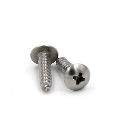 China Professional Fastener Supplier Stainless Steel Flat Head High Reliability Self Tapping Screw for sale