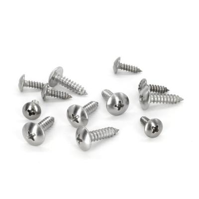 China High Reliability Large Cross Flat Head Self Tapping Fastners Screws Manufacturer Copper Screw for sale