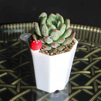 China Beautiful small garden planters durable material flowerpot and beautiful small planters pot artificial flower for sale