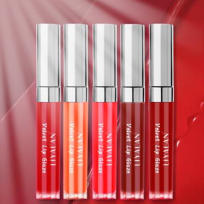 China Hot Selling New Fashion Lip Plumper Waterproof Long Lasting Cosmetics Lip Plumper Gloss for sale