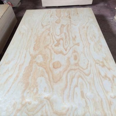 China 100% modern beam pine plywood for new zealand for sale