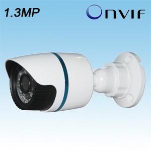 China 1.3MP Mini IP Camera for sale