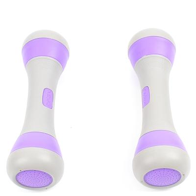 China Fitness Adjustable Adjustable Weight Lady Dumbbell Arm Equipment Arm Hand Training Hand Training Hantel for sale