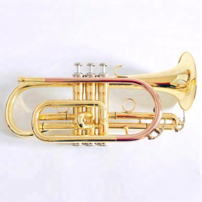 China Gold Lacquer Bb Clef Gold Lacquer Cornet For Sale for sale