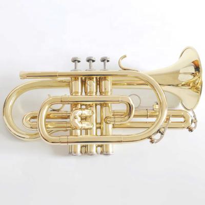 China Gold Lacquer Gold Lacquer Body Cornet for sale