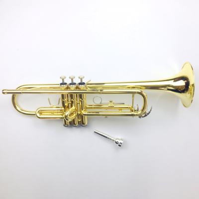 China For Beginners Cheap Tianjin Musical Instruments Horn Trumpet For Beginner Or Student Level for sale