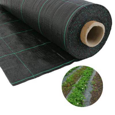 China 100% Virgin 100% HDPE Spun-bond Nonwoven Mulch Fabric In Roll For Anti Grass Landscaping Net for sale