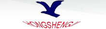 Shenzhen Hong Shengji Tech