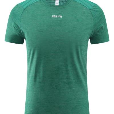 China New Summer Anti-Wrinkle Quick Dry T-shirt Breathable Casual Crewneck Men's Slim Men's Short Sleeve for sale