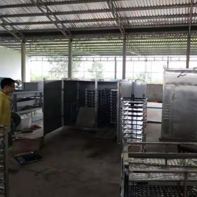 China Hot Selling Cashew Nut Processing Machine High Efficiency Cashew Nut Shelling Machine New Cashew Machine for sale