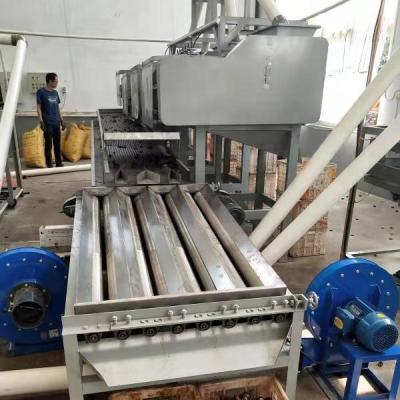 China Automated Full Snack Factory Cashew Nut Production Cashew Processing Machinery for sale