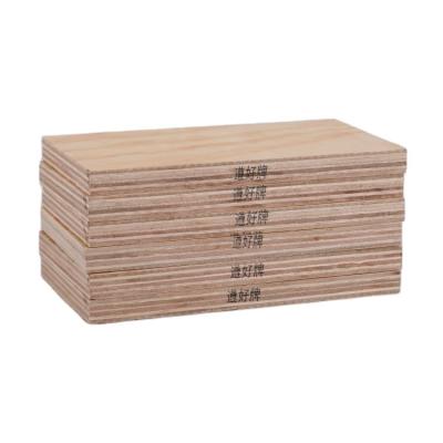 China China factory supply 4x8 modern plywood construction plywood 10mm green pine building board laminated marine plywood for sale