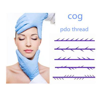 China 2019 Korea 4D TOOTH lift face lift and PDO filler beauty thread for face lifting for sale