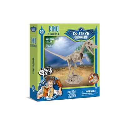 China Toys Museum-Quality Dinosaur Excavation Kit Skeleton Dinosaur Fossil for sale