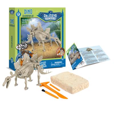 China Plastic Dinosaur Excavation Kit Dinosaur Fossil Dig Toy Dinosaur Toys Skeleton Children Kids for sale