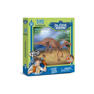 China Toys Stem T-rex Dinosaur Toys Dig And Discover Dinosaur Toy Dinosaur Excavation Kit T-rex Skeleton for sale