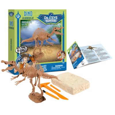 China Museum-quality dinosaur assemble kit 2021 STEM dinosaur fossil kit dinosaur toy dinosaur excavation digging kit other kids toys for sale