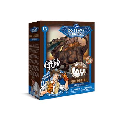 China Museum-quality dinosaur assemble kit factory supply paleo direct shipping - dino excavation kit-spinosaurus for sale