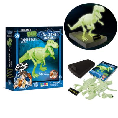 China Museum-Quality Dinosaur Teeth T-rex Dinosaur Toy Jurassic Glow in the Dark Dino Skeleton for sale