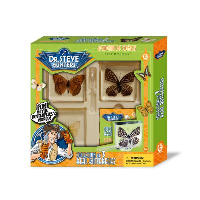 China STEM Kids Toys Natural Plant Wholesale Collection Of Real Insects And Butterflies Toys for sale