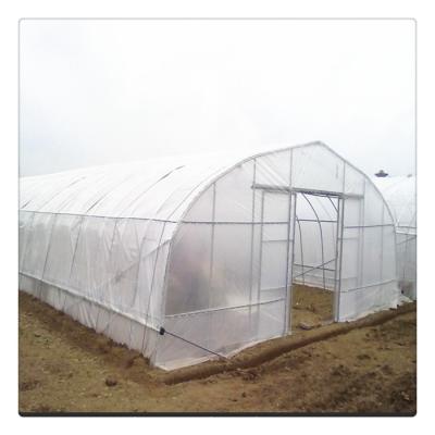 China Vegetable Leaf Strawberry Galvanized Single Tunnel Green House Steel Structure Green House Agricultural Greenhouses for sale