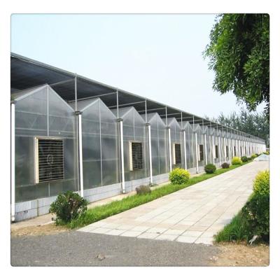 China Vegetable Fruit Flowers Strawberry Galvanized Steel Frame Multi Span Polycarbonate Greenhouses for sale