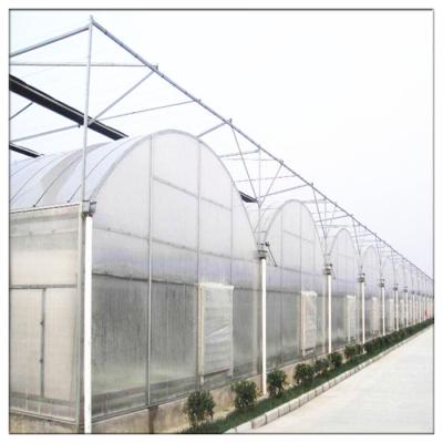 China PE Simple Structure Steel Frame Poly Tunnel Film Greenhouse With Insect Net for sale