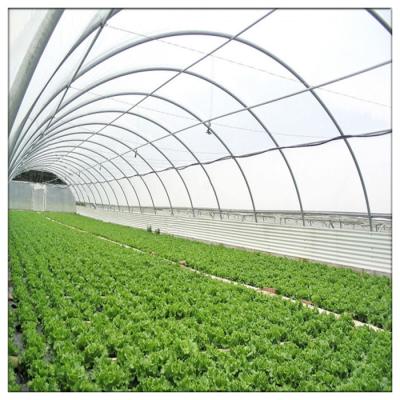 China Good Quality Vegetable Single Span China Strawberry Flower Fruit Tunnel Poly Plastic Sheet Galvanized Steel Frame Agricultural Greenhouses for sale