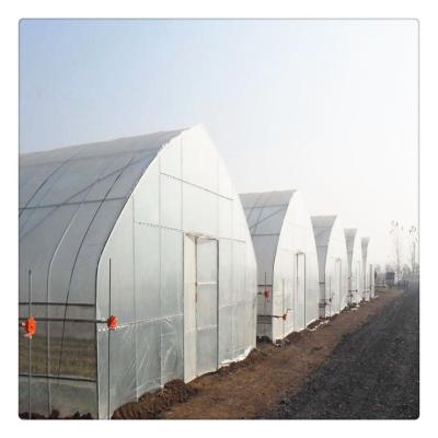 China Growing Vegetables/Fruits/Flowers Sell Well New Type Smart Galvanized Steel Frame Tunnel Poly Film Agricultural Greenhouses for sale