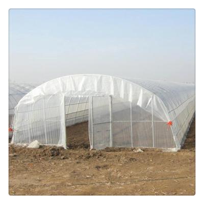 China Green PE simple structure simple tomato strawberry lettuce cucumber lettuce steel frame tunnel poly span house for sale