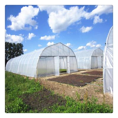 China PE China Factory Price Plastic Shed Agricultural Greenhouse for sale