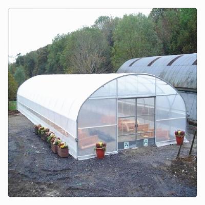 China PE Competitive Price Smart Plastic Shed Single Span Greenhouse for sale