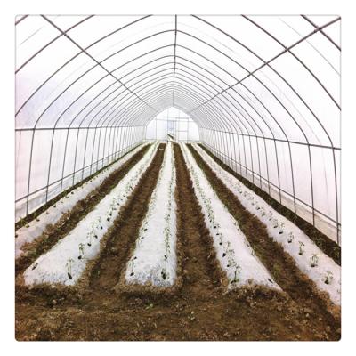 China Hot Selling PE Steel Frame Single Span Agricultural Greenhouse for sale