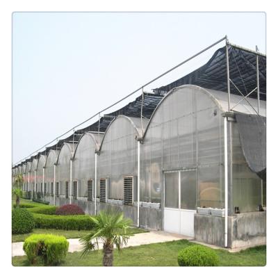 China Poly Steel Structure Agriculture Tunnel Plastic Sheet Galvanized Poly Greenhouses Vegetables / Fruits / Greenhouses for sale