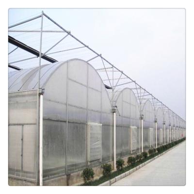 China PE System Polycarbonate Hydroponic Agriculture Green House With Insect Net for sale