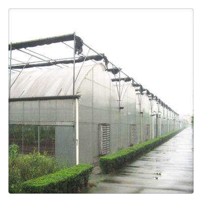 China Cheap Price PE Strawberry Tomato Pepper Galvanized Steel Sheet Multi Span Plastic Frame Green Tube House for sale