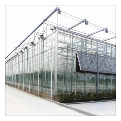 China Glass Factory Price Galvanized Steel Frame Multi Span Glass Vegetable Greenhouse for sale