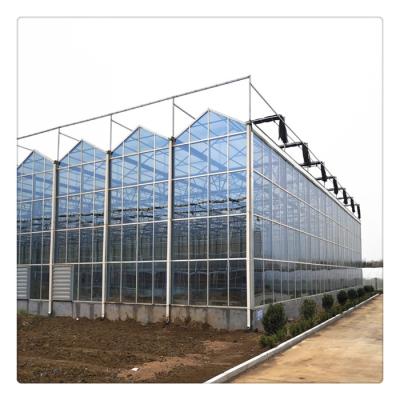 China China Glass Manufacture Commercial Blackout Galvanized Steel Glass Tube Agricultural Hydroponic Greenhouse for sale