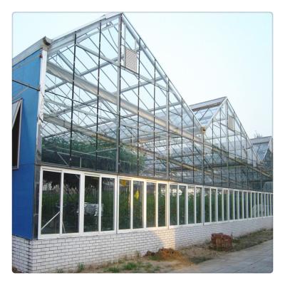 China China Factory Supply Glass Multi Span Steel Frame Vegetable Glass Greenhouse for sale